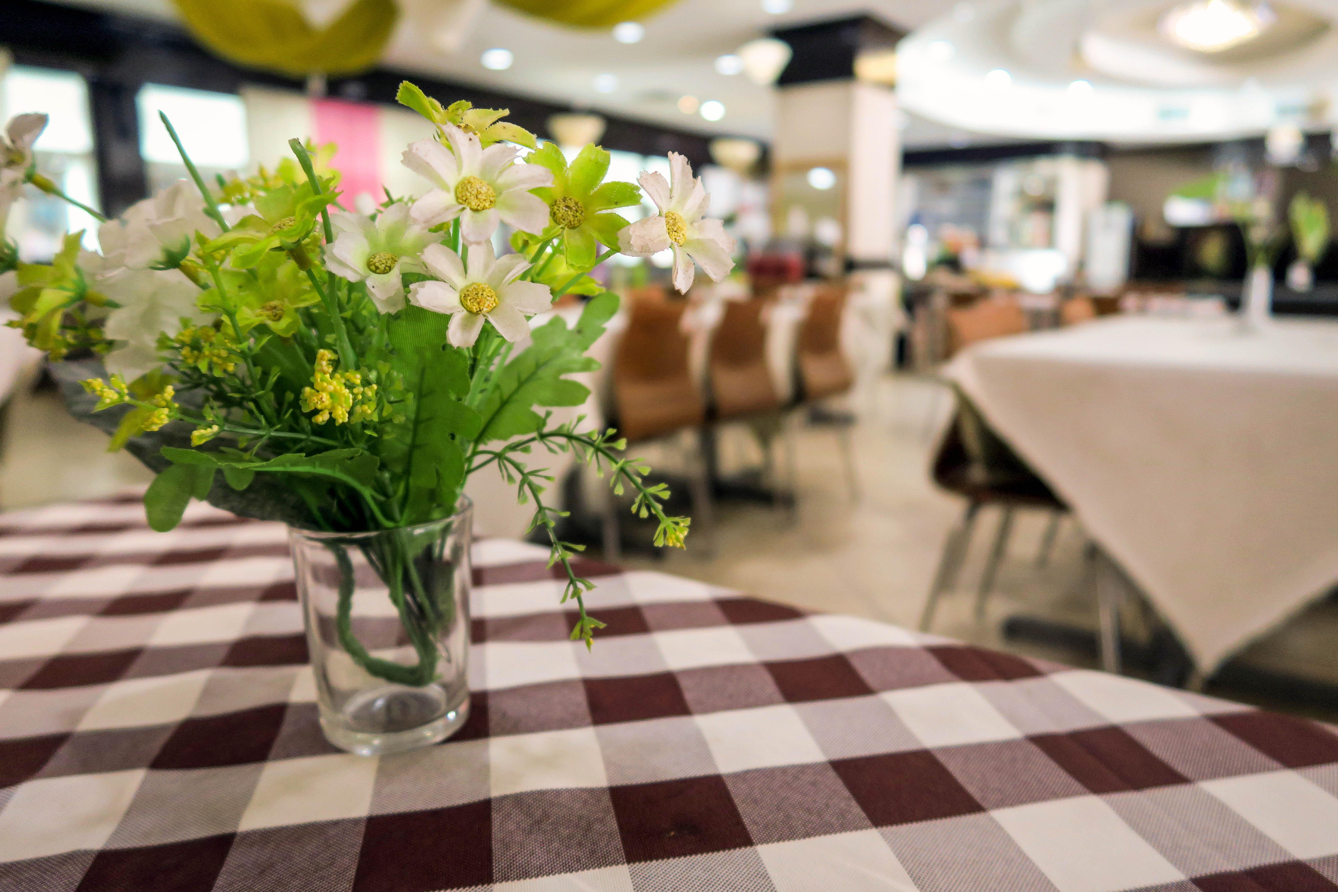 קואה Hotel Langkasuka Langkawi מראה חיצוני תמונה